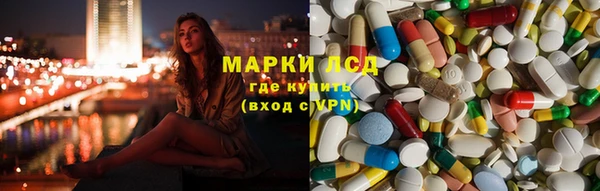 гашик Майский