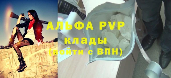 гашик Майский