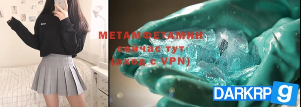 прущие грибы Магас