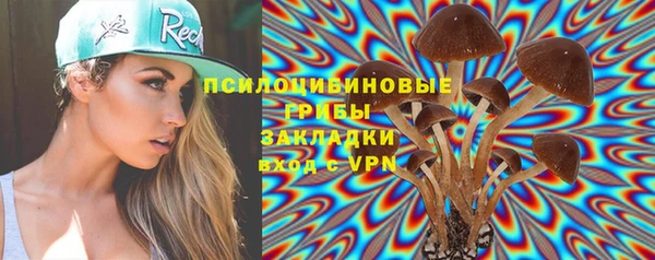 гашик Майский