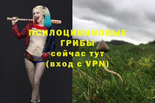 кокаин премиум Медногорск