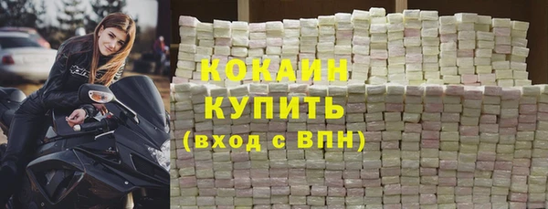 прущие грибы Магас