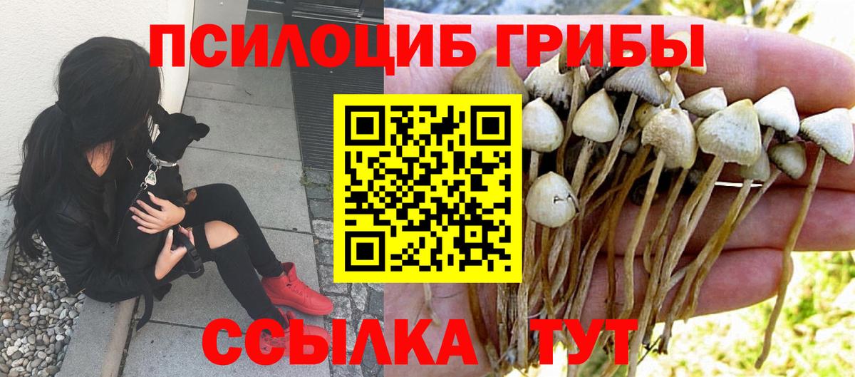 Галлюциногенные грибы Cubensis  магазин    Псилоцибиновые грибы MAGIC MUSHROOMS  Таганрог  Вход с VPN 