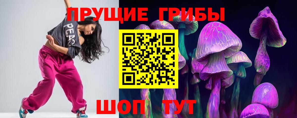 Галлюциногенные грибы Psilocybe Таганрог